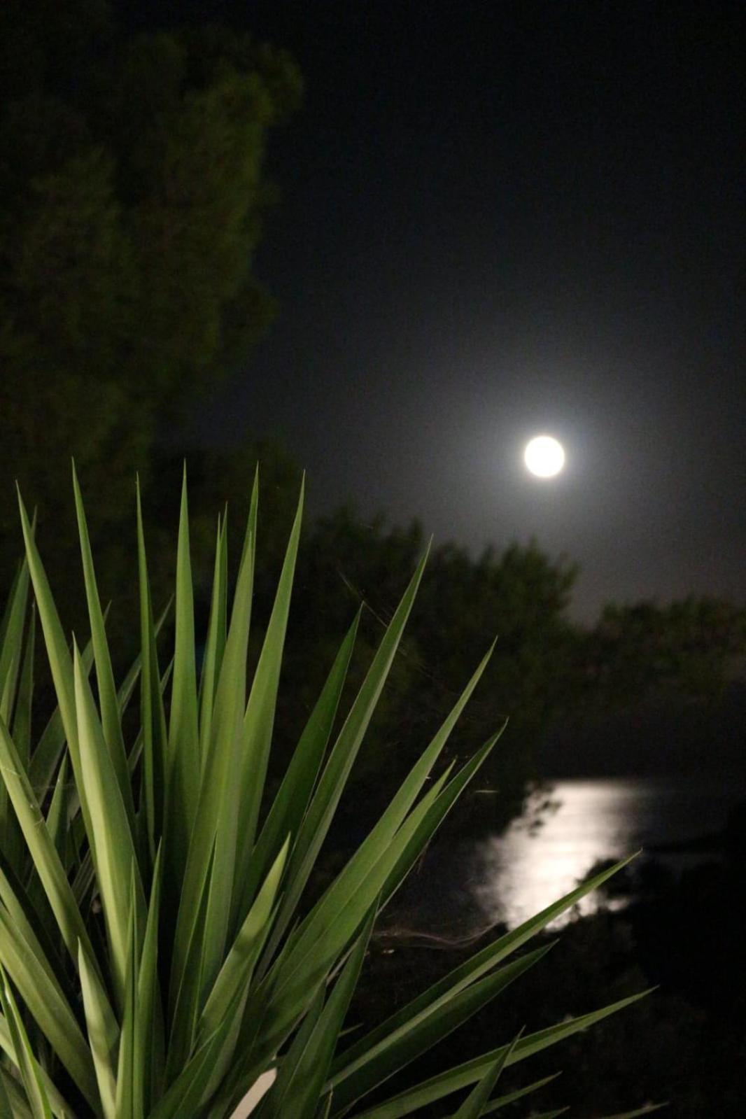 Holiday Hvar Vrbanj Luaran gambar
