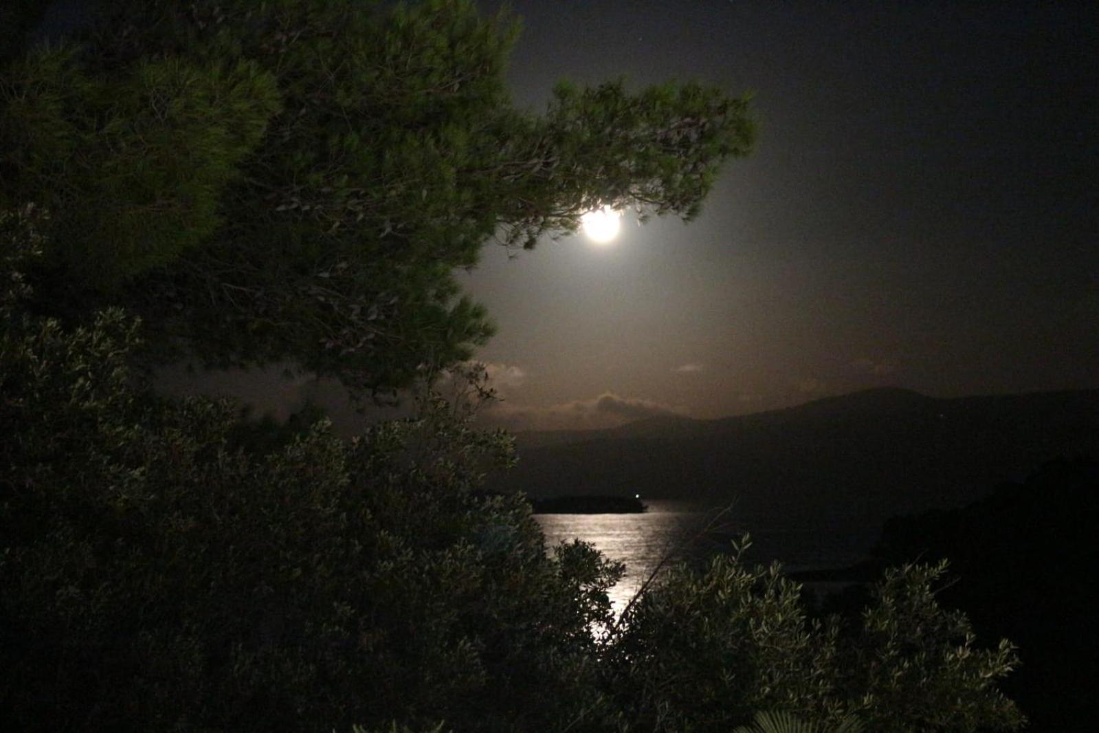 Holiday Hvar Vrbanj Luaran gambar